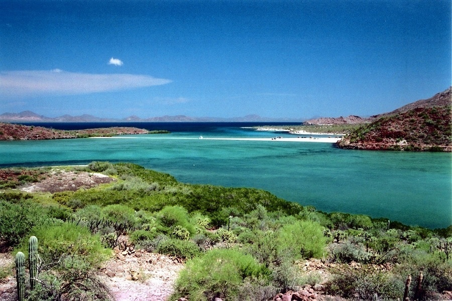 vizcaino biosphere reserve, ronival, nick fong